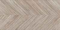 ESS.RLV. CHEVRON TERRA 60X120 G1