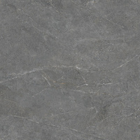 Pp DISTINCT GREY SILKY CRISTAL 597x597x8 G.1 CD