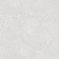 Pp LICEO BIANCO 60X60 POLISHED G1.IMP1