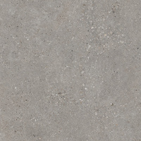 Pp SGR86-1 / MOONDUST GREY Rett. 60x60 g.1 SG