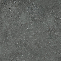 Pp SGR198-2/ KRONOS GRAPH 60x60x2(20mm) Ret G.2SG