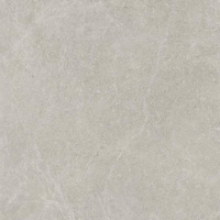 U118 LIGHT GREY GRES SZKL. REKT. MAT. 59,8X59,8