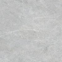 Pp DISTINCT WHITE SILKY CRISTAL 597x597x8 G.1 CD