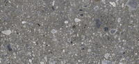 GRES CEPPO NUOVO GRAPHITE POLER 1197X597 G.2