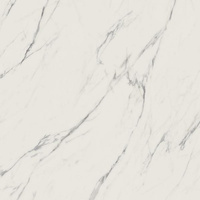 ELITE WHITE GRES SZKL. REKT. POLER 59,8X59,8