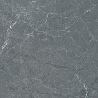 Pp SGR322-1 ASTON GRAPHITE(20MM) Rett 60x60x2 G.1