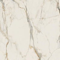 PASSION WHITE GRES SZKL. REKT. MAT 119,8X119,8