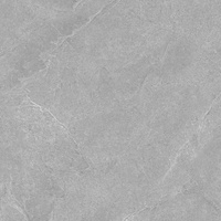 Pp SGR327-1 TOBI GREY Rett. 60x60 G.1 SG