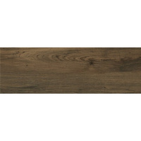 ALAYA WOOD GLOSSY 19,8X59,8 G.2