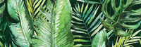 BRAGA TROPIC  A INSERTO 25X75