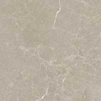 Pp SGR320-1 ASTON BEIGE(20MM) Rett 60x60x2 G.1 SG