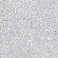 TERRAZZO GRIS 80x80 G1 US