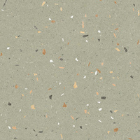 Croccante Menta 60x60 G1 AR