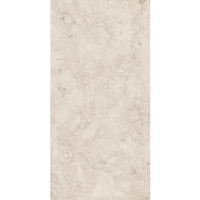 PERLATO LIGHT GREY 60X120X9MM RECT. (1,44) LAPPATO CARVING
