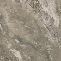 GENEROUS TAUPE GRES SZKL. REKT. POLPOLER 59,8X59,8