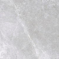 SPACE STONE GREY 60X60