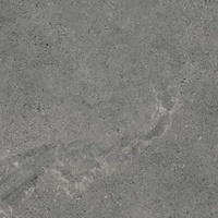 AUTHORITY GRAPHITE GRES SZKL. REKT. MAT 59,8X59,8