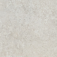 ARONA GREY MAT 59,8X59,8