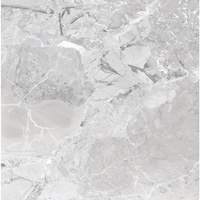 EARTHSTONE PEARL 60X60 G1 EC