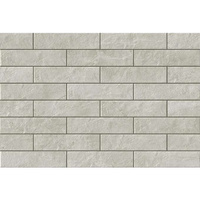 KAMIEŃ RAPID BIANCO 300X74X9 G.2