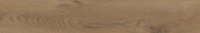 Pp TAIGA / SGR250-1 BROWN 20X120 G.1 SG PROMOCJA