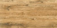 CANARY WOOD BROWN MATT 600X1200 G.1