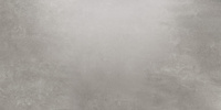 GRES TASSERO GRIS LAPPATO 1197X597 G.2